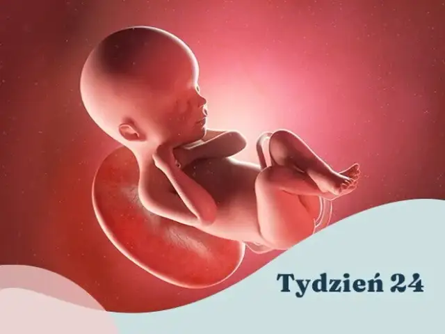 24. tydzień ciąży: Niesamowity rozwój dziecka co musisz wiedzieć?
