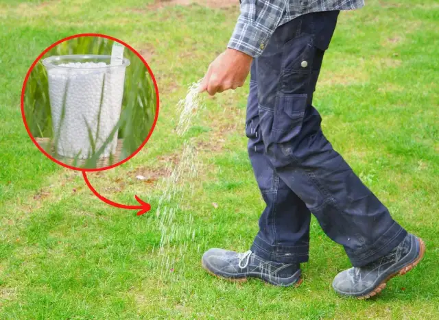 Kiedy wapnować trawnik? Poznaj idealny termin i uniknij błędów