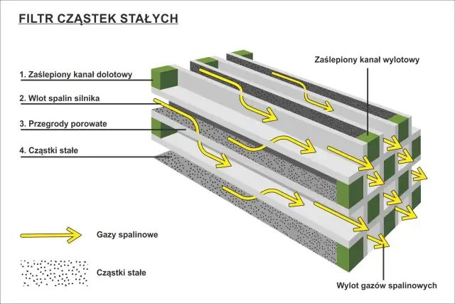 Jak wygląda DPF? Zaskakujące fakty o filtrze cząstek stałych