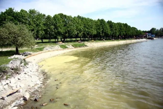 Jezioro Zemborzyckie w Lublinie – atrakcje, które musisz poznać