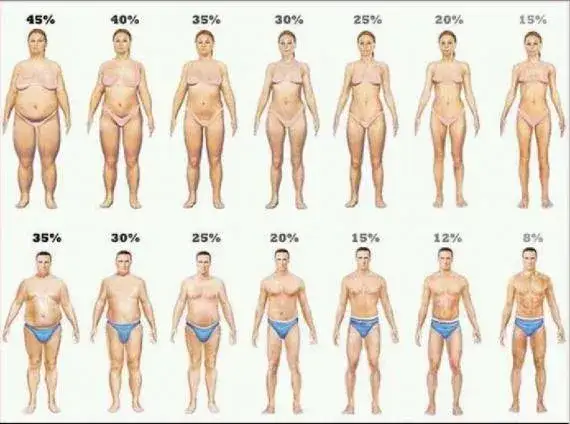Ile kalorii ma 1 kg tłuszczu? Odkryj prawdę o odchudzaniu