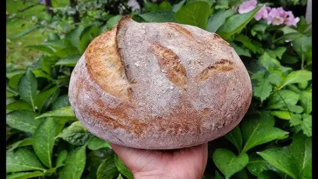 Chleb: policzalny czy nie? Proste zasady, koniec z błędami!