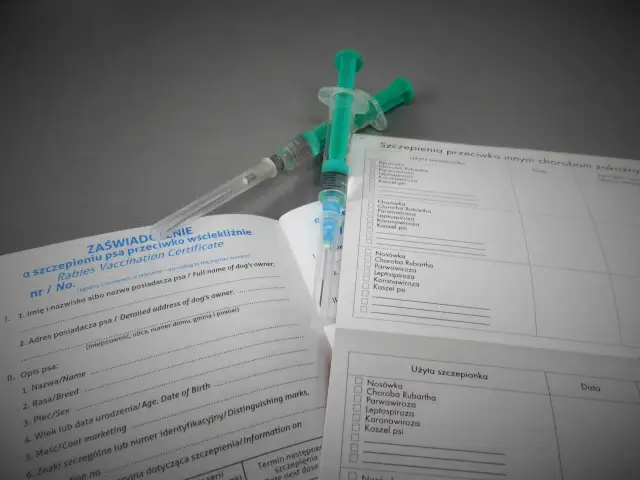 Dwie strzykawki leżą na zaświadczeniu o szczepieniu psa przeciwko wściekliźnie. Dokument zawiera rubryki do wpisania danych psa i właściciela, a także listę chorób, na które można zaszczepić pupila. Kiedy szczepić szczeniaka na wściekliznę? Dokument po...
