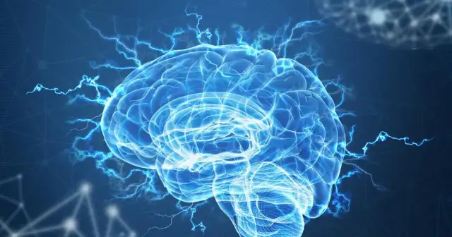 Udar mózgu: Poznaj przyczyny i chroń się! Dlaczego dotyka młodych?