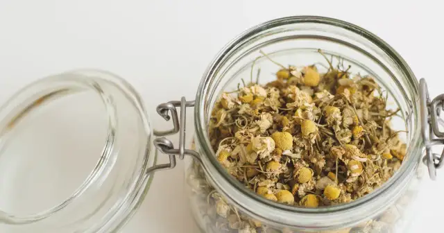 Czy herbatka rumiankowa może uczulać? Objawy i zagrożenia dla zdrowia