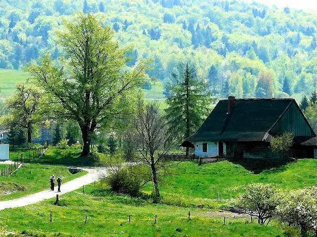 Skansen Podkarpacie: Odkryj niezwykłe skarby kultury i historii