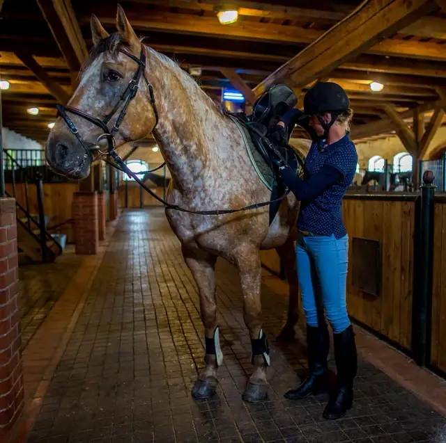Stadnina Koni w Pcimie - Komfortowe noclegi i jeździectwo dla każdego