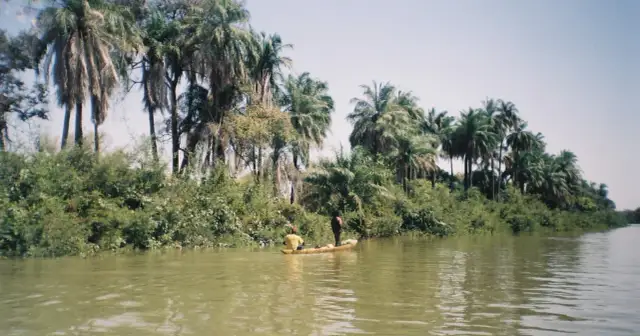 Łódź z dwoma osobami płynie po rzece wśród bujnej roślinności i palm.