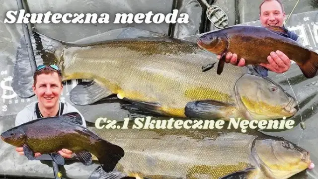 Najskuteczniejsze zanęty na lina: sekrety, które musisz znać