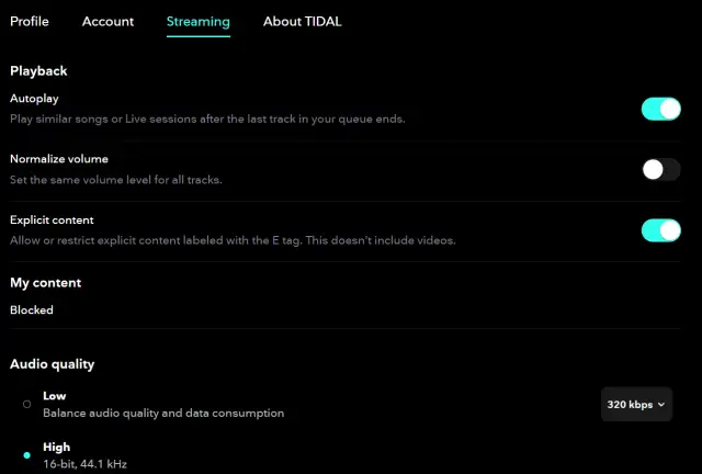 Co oznacza "E" w Tidal? Wyjaśnienie symbolu Explicit
