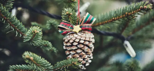 Jak zrobić ekologiczne ozdoby choinkowe, które zachwycą gości