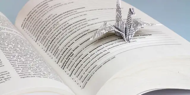 Co to znaczy książka? Zrozumienie jej znaczenia i rodzajów