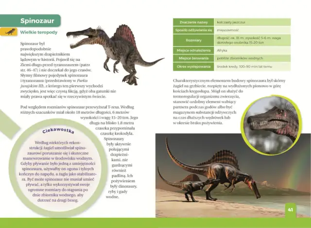 Ilustrowany atlas świata dinozaurów: Spinozaur, największy drapieżnik lądowy, z charakterystycznym żaglem na grzbiecie, przemierza brzeg wodny.