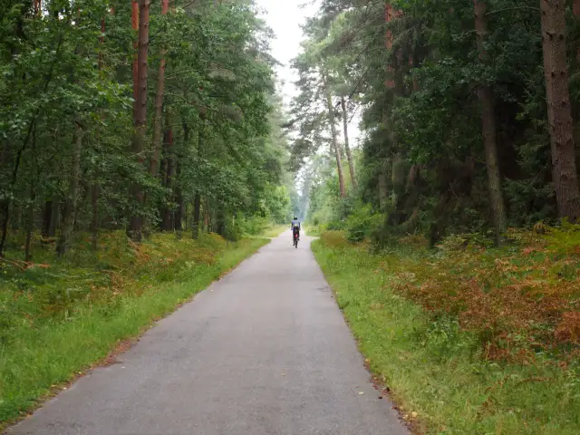 Puszcza Niepołomicka trasy rowerowe mapa – odkryj najlepsze szlaki