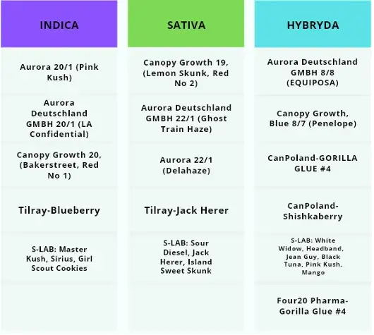 Dopalacze vs Marihuana: Kluczowe Różnice dla Twojego Bezpieczeństwa