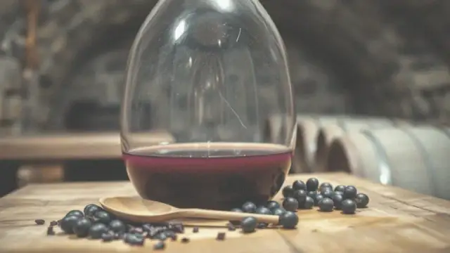 Ile winogron na balon 25l – uniknij błędów w produkcji wina