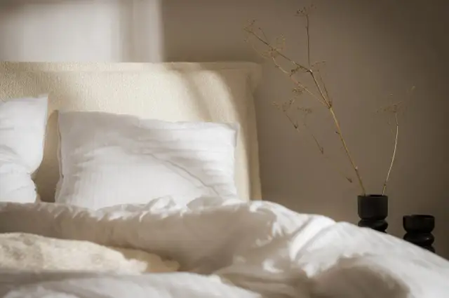 Pranie poduszki z pierza: Ile kosztuje i czy domowe pranie ma sens?