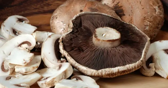 Wartości odżywcze pieczarek - Co faktycznie dają organizmowi?