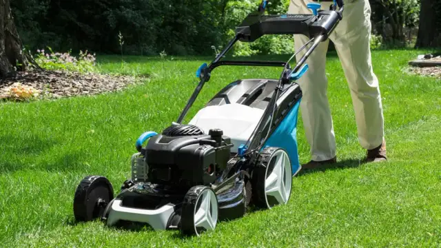 Jaką kosiarkę spalinową kupić, aby uniknąć niepotrzebnych wydatków?