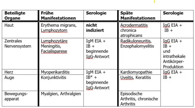 Borrelien Blutuntersuchung: Wichtige Informationen zur Diagnose von Lyme-Borreliose