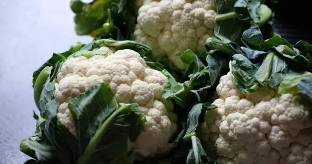Kiedy sezon na kalafiora? Odkryj najlepszy czas na świeżego kalafiora