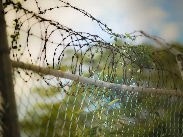 Drut kolczasty na ogrodzeniu - czy to legalne? Przepisy i koszty