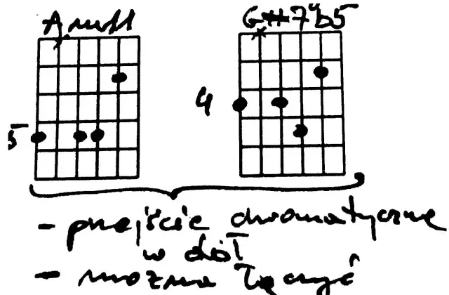 Dwa diagramy chwytów gitarowych: Am i G#7b5, z notatkami.