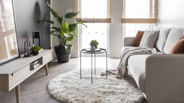 Jak urządzić małe mieszkanie 38 m: jasna kanapa, puszysty dywan, stolik, duża roślina i drewniana szafka RTV tworzą przytulne wnętrze.