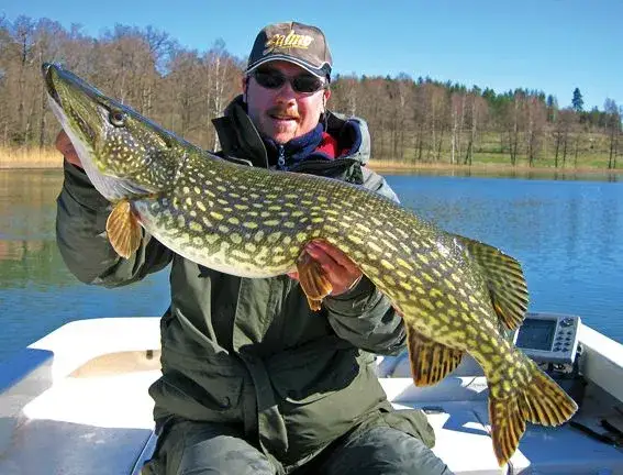 Wędkarstwo na jeziorze Kopań: najlepsze techniki i przepisy