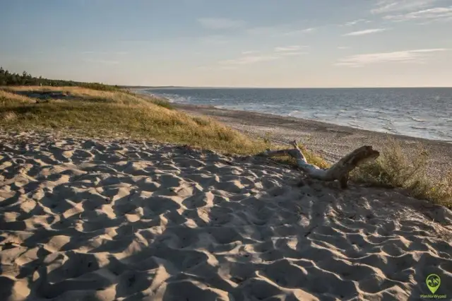 Krynica Morska: Atrakcje na każdą pogodę! Przewodnik po Mierzei