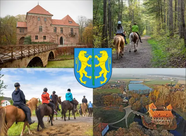 Jazda Konna Mysłowice: Stadnina Arabka Oferta, Cennik, Kontakt