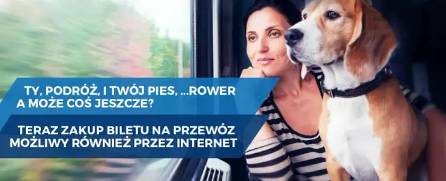 Jak kupić bilet PKP dla psa przez internet bez zbędnych komplikacji