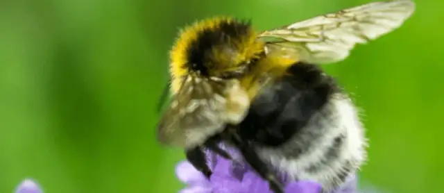 Obiektyw 18-55 mm w praktyce - poznaj wszystkie możliwości fotografowania