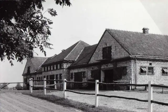 Stadnina Koni Michałów - historia, hodowla i pasjonujące fakty