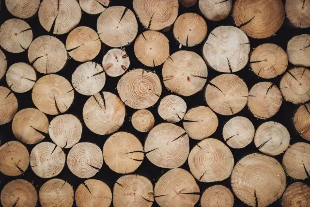 Drewniane plastry ułożone w stos, tworzące naturalne wzory i inspiracje do projektów.