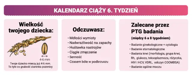 W którym tygodniu ciąży do lekarza? Twój plan pierwszej wizyty