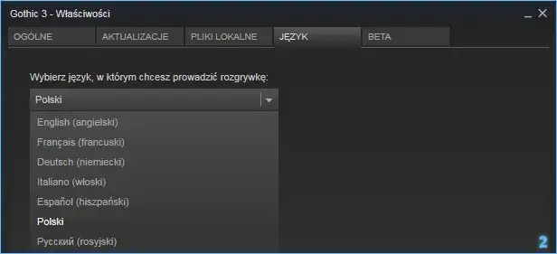 Gothic 3 spolszczenie: Jak zainstalować polską wersję gry?