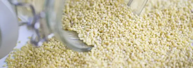 Kasza jaglana z czego pochodzi? Odkryj jej fascynującą historię