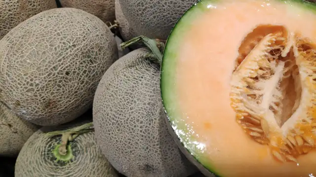 Kiedy sezon na melony? Sprawdź, kiedy są najsmaczniejsze i tańsze