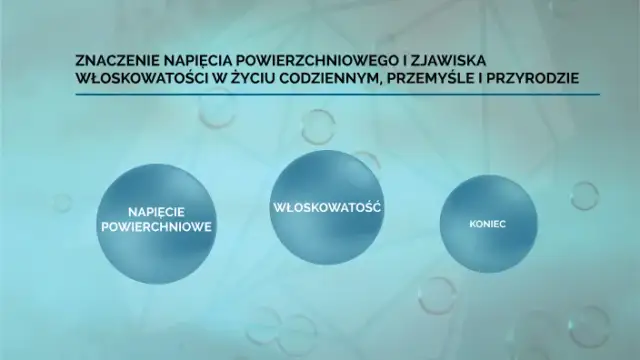 Fascynujące zjawisko włoskowatości: poznaj mechanizm i rolę w przyrodzie