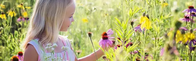Wielkopolska z dzieckiem: 15+ pomysłów na weekend pełen przygód!