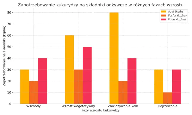 Ile nawozu na hektar kukurydzy? Optymalne dawki dla najwyższych plonów