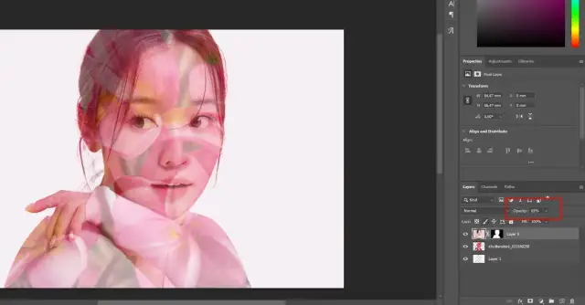 Kadrowanie zdjęć w Photoshopie: Praktyczny przewodnik PRO