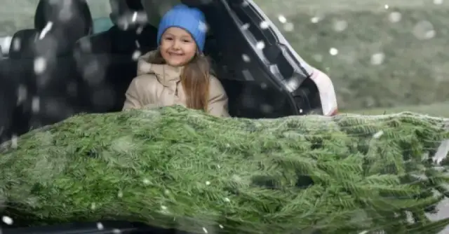 Ile może wystawać ładunek z tyłu naczepy? Sprawdź przepisy i zasady