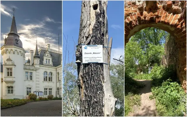 Najciekawsze atrakcje w Jelczu-Laskowicach, które warto poznać