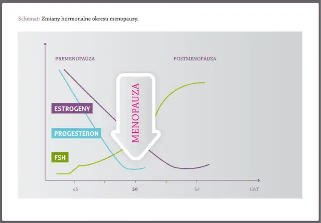 Jajniki po menopauzie: czy nadal produkują hormony? Poznaj prawdę!