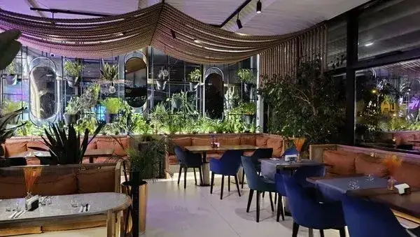 Gdzie zjeść w Jeleniej Górze? Odkryj smaki, które zachwycą!