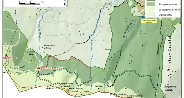 Czy szlak na Śnieżkę jest otwarty? Sprawdź aktualne warunki i zagrożenia