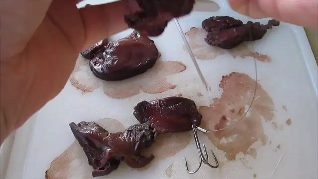 Jak założyć wątróbkę na haczyk? Skuteczne metody i porady