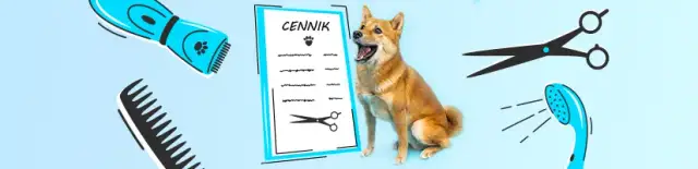 Ile kosztuje fryzjer dla psa? Sprawdź ceny i co wpływa na koszty